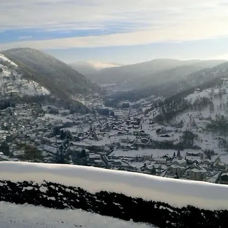 Le Petit Chalet Bellevue * La Bresse